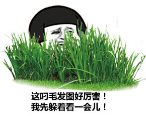 金馆长访问系列微信蘑菇头恶搞表情包