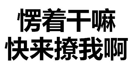 天惹有情天亦老，亲亲宝宝好不好微信恶搞文字表情包