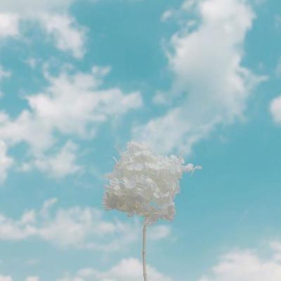 唯美风景微信头像