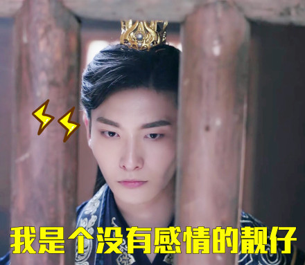 双世宠妃大王爷微信恶搞表情包