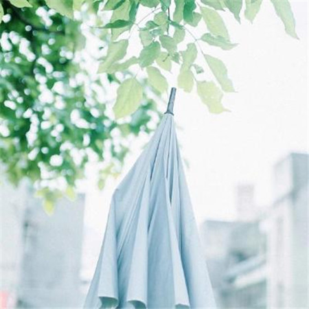 微信小清新唯美风景朋友圈配图