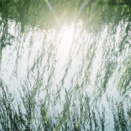 微信小清新唯美风景朋友圈配图