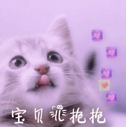 近期斗图微信表情包精选十一月七号