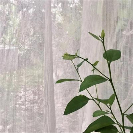 微信小清新唯美风景朋友圈配图