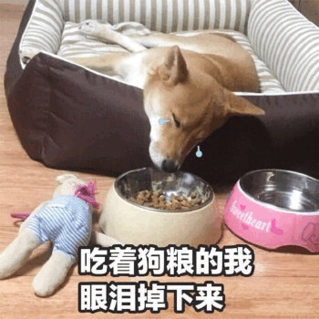 近期斗图微信表情包精选十一月七号