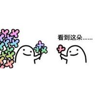 看到这朵花没微信恶搞斗图表情包
