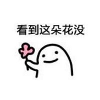 看到这朵花没微信恶搞斗图表情包
