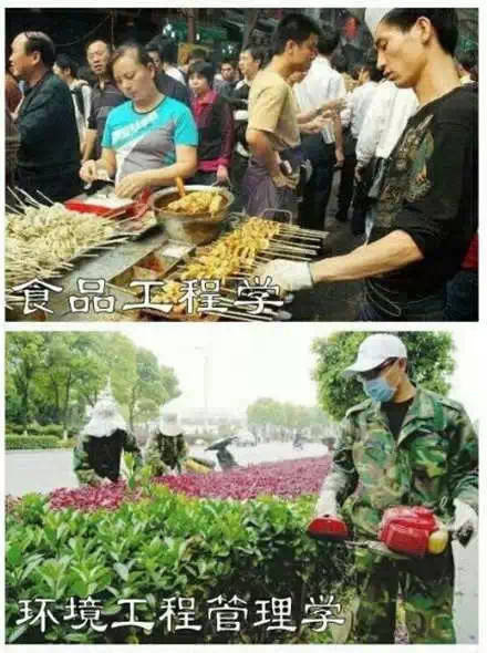专业毕业之后能够干些啥微信恶搞表情包