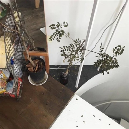 微信全景简约干净 朋友圈配图