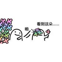 看到这朵花没微信恶搞斗图表情包