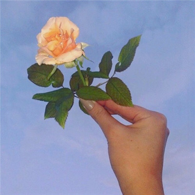 微信唯美复古小清新朋友圈配图