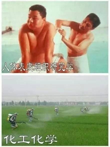专业毕业之后能够干些啥微信恶搞表情包