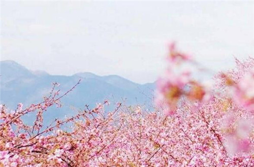 微信唯美梦幻温馨朋友圈配图