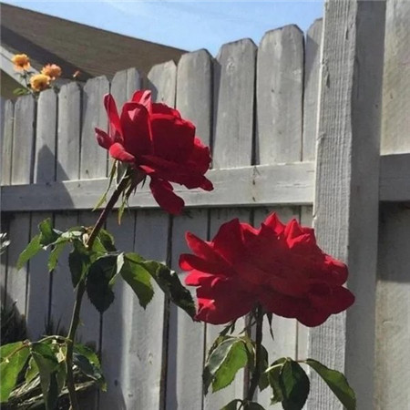 微信全景简约干净 朋友圈配图