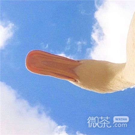 微信梦幻小清新唯美风景朋友圈配图