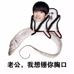 小锤锤锤你胸口微信恶搞表情包