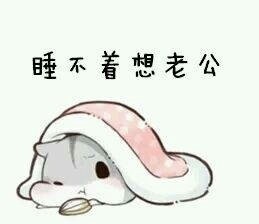 仓鼠撒娇微信表情包