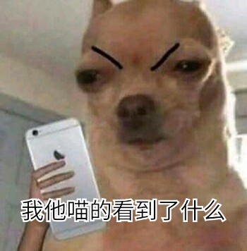 微信近期恶搞斗图表情包11/12(二)