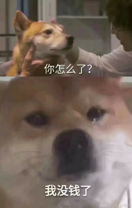 微信近期恶搞斗图表情包11/12(二)