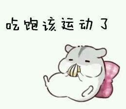 仓鼠撒娇微信表情包