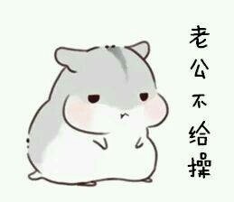 仓鼠撒娇微信表情包