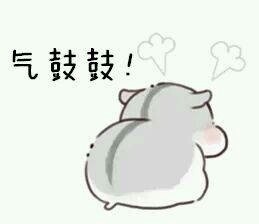 仓鼠撒娇微信表情包