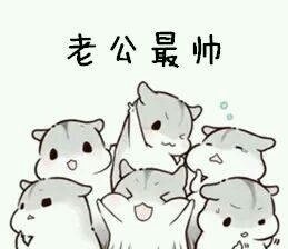 仓鼠撒娇微信表情包