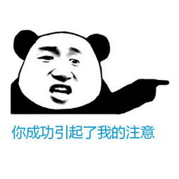 你成功的引起了我的注意微信恶搞表情包