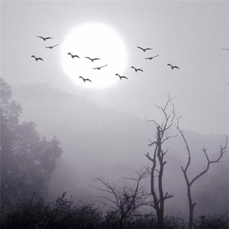 微信个性意境非主流朋友配图