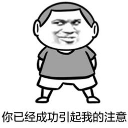 你成功的引起了我的注意微信恶搞表情包