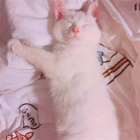 微信个性小清新女生朋友圈配图