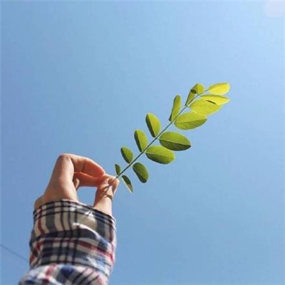 微信最新时尚好看情侣头像