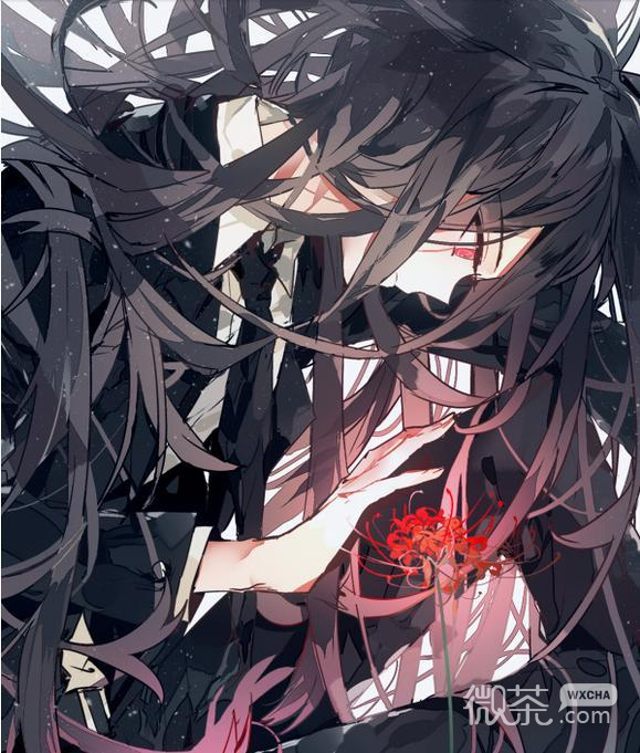 美美的二次元插画漫画微信图片下载