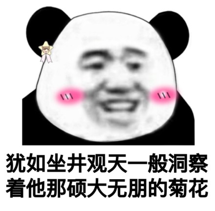 一套熊猫头污表情包