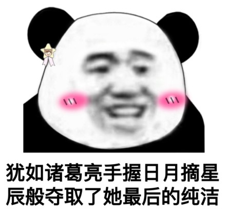一套熊猫头污表情包