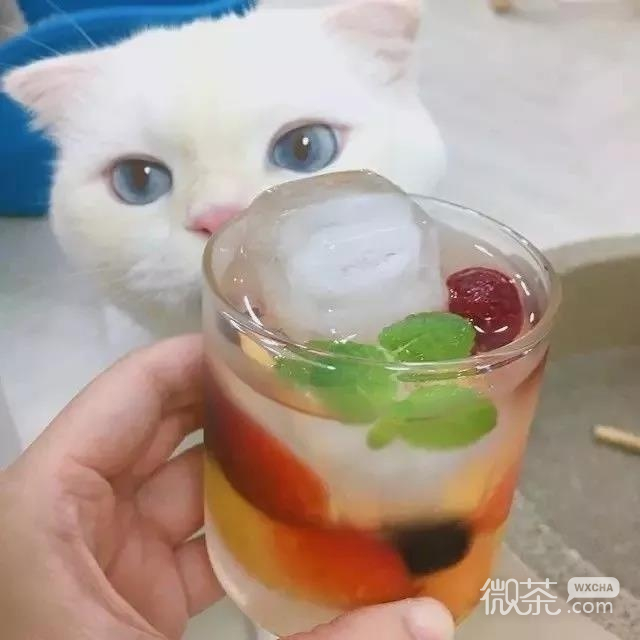 微信梦幻静物意境朋友圈配图