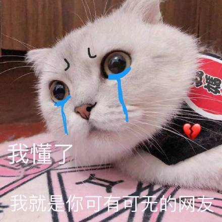 微信近期斗图恶搞表情包11/16(二)