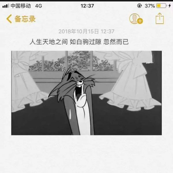 微信个性意境伤感朋友圈配图