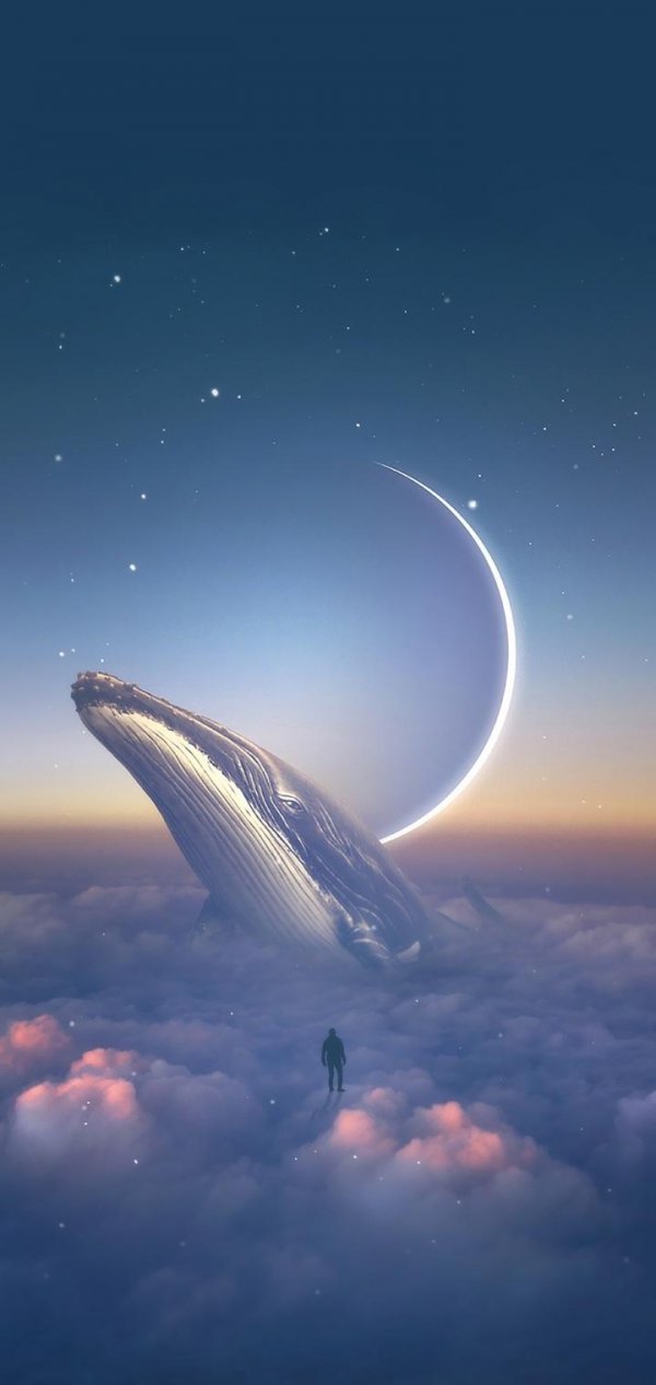 微信个性意境唯美聊天背景