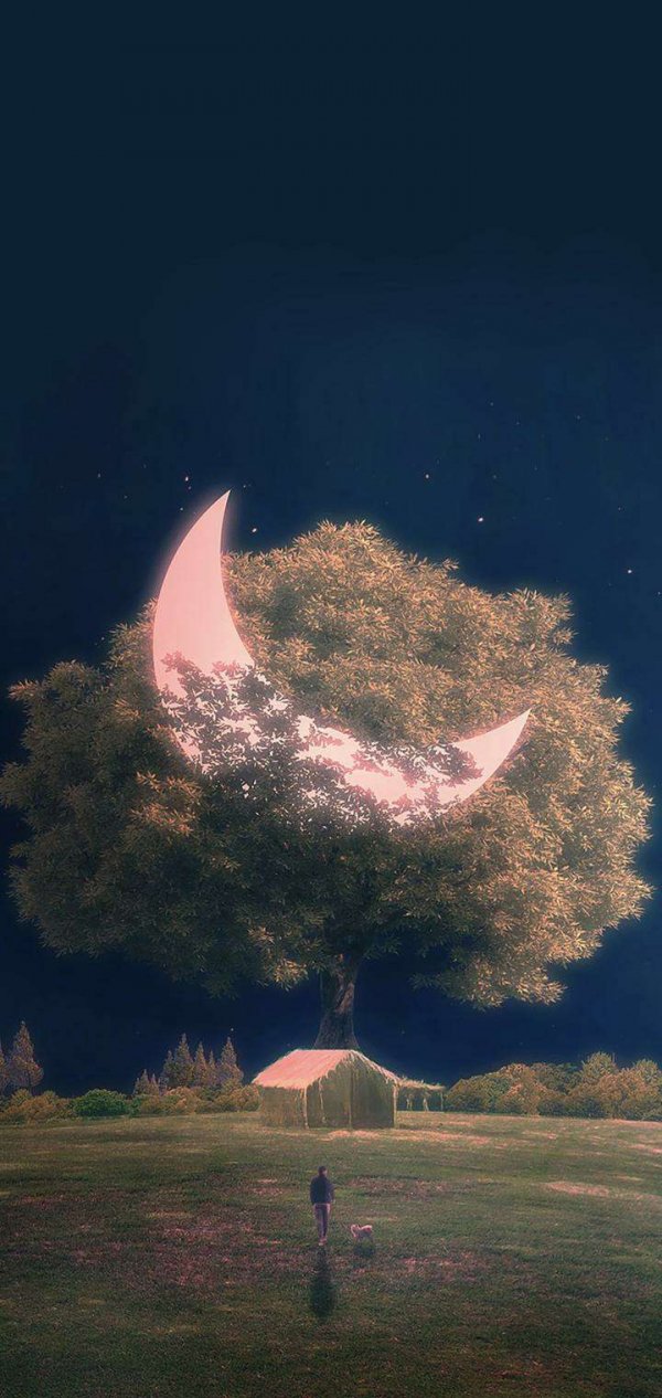 微信个性意境唯美聊天背景