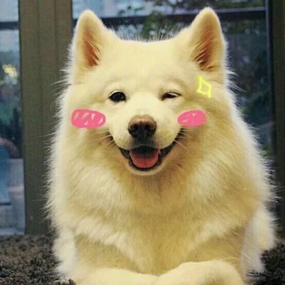 微信个性搞怪汪星人头像