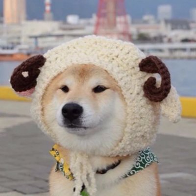 微信个性搞怪汪星人头像