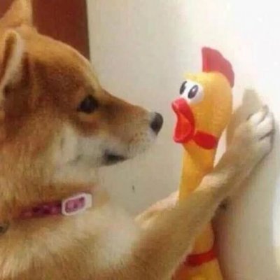 微信个性搞怪汪星人头像