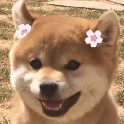 微信个性搞怪汪星人头像