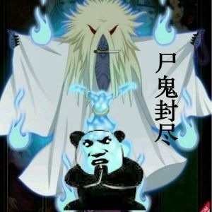 熊猫人武林天下（火影版）微信恶搞表情包