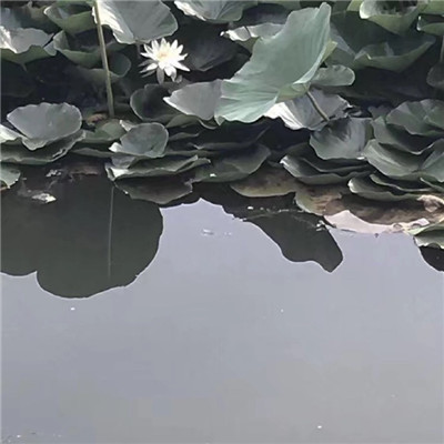 微信清新个性唯美风景头像