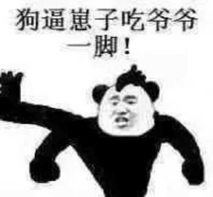 熊猫头斗图微信恶搞逗比表情包 ​