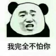 熊猫头斗图微信恶搞逗比表情包 ​