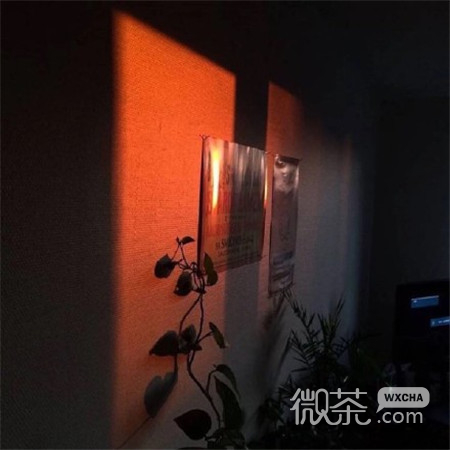 微信唯美个性简约小清新朋友圈配图
