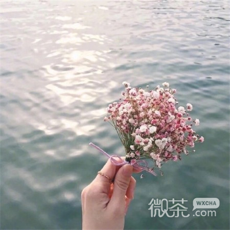 微信唯美个性简约小清新朋友圈配图